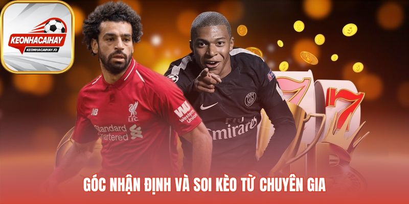 Nhận định chuyên gia xây dựng trên kho dữ liệu khổng lồ